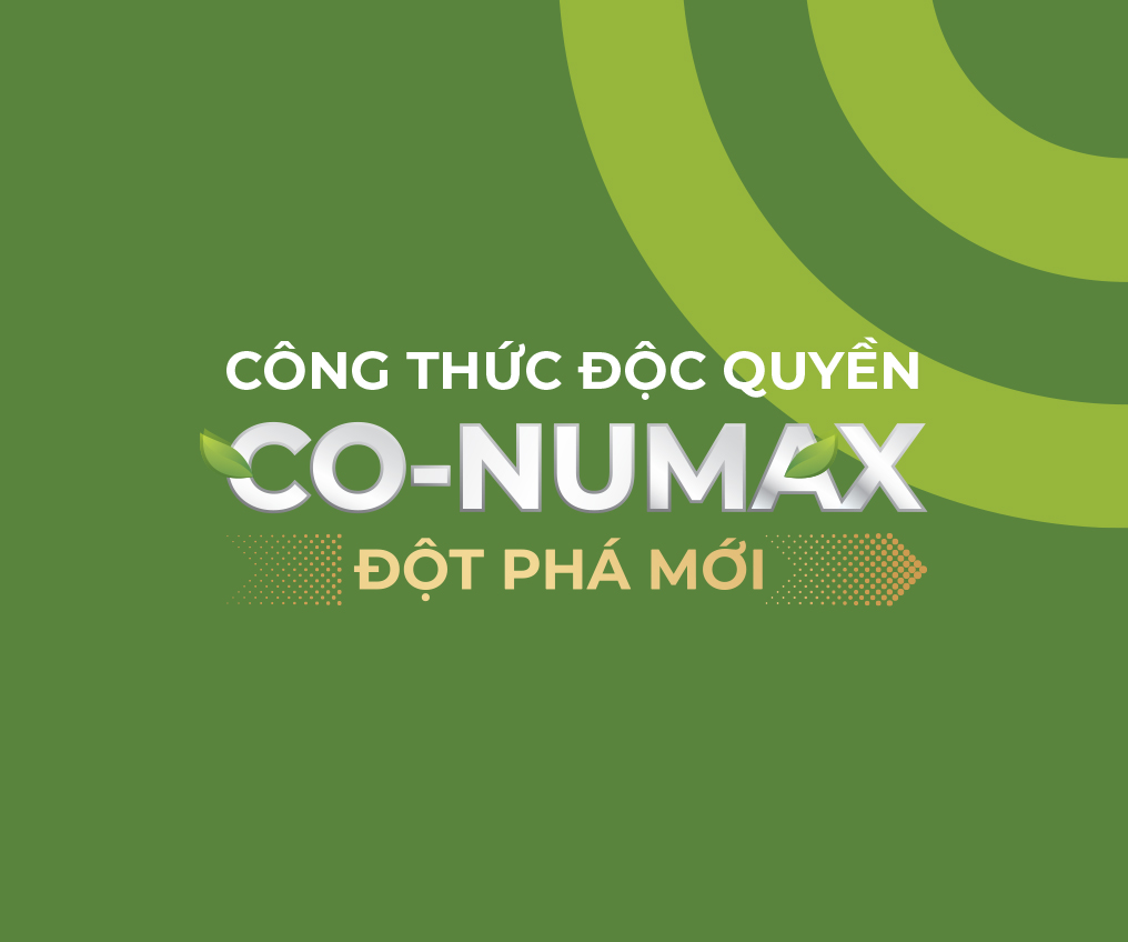 Công thức đột phá