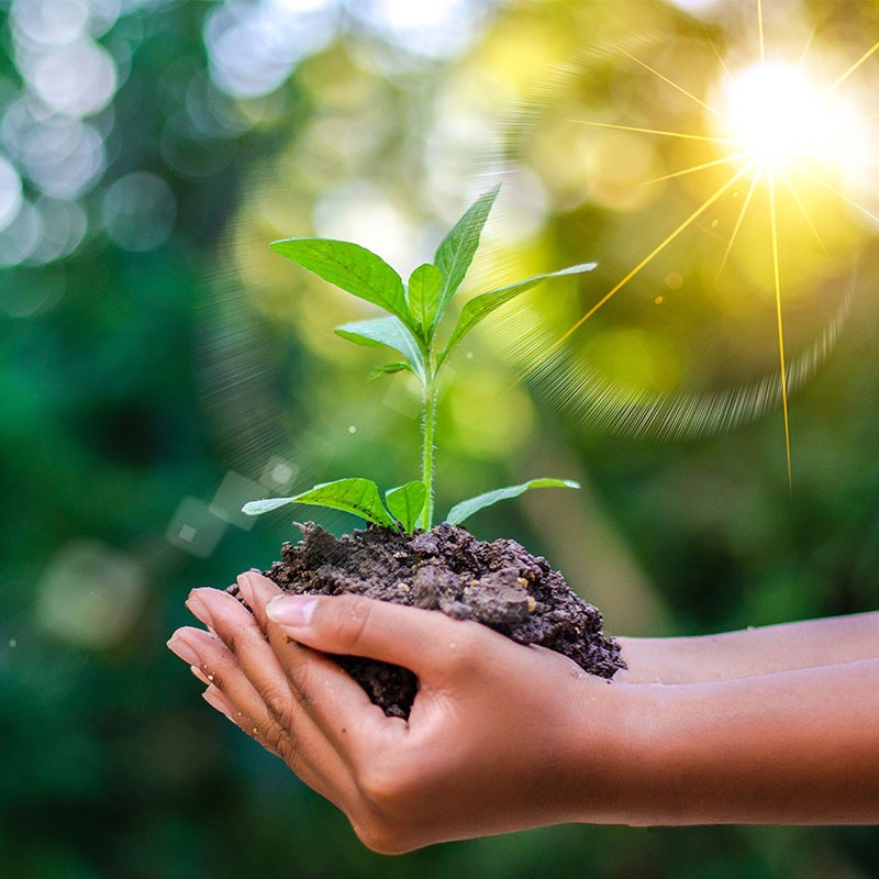 Tầm nhìn và <span>Sứ mệnh</span>